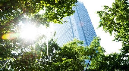 Sustainability